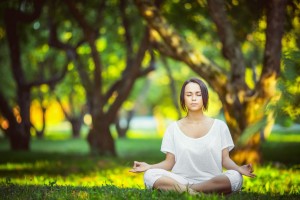 开云-库里迎来十二赛季高光表现，法国队球迷沸腾！