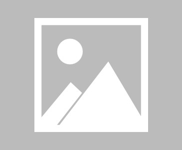 开云体育官网-全场球迷高喊佩德里